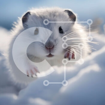 Intra Συλλεκτικό Ξύλινο Παζλ Plywood  4mm - Αξιολάτρευτη εικόνα ενός λευκού χάμστερ σε μια χιονισμένη σκηνή Σε Ξύλινο Κουτί - Διαστάσεις: 10x10 cm – 25 κομμάτια - Image 1