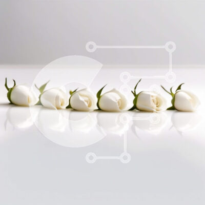 Intra Συλλεκτικό Ξύλινο Παζλ Plywood  4mm - Κομψή φωτογραφία πέντε λευκών τριαντάφυλλων σε σειρά Σε Ξύλινο Κουτί - Διαστάσεις Puzzle: 10x10 cm – 25 κομμάτια - Image 1