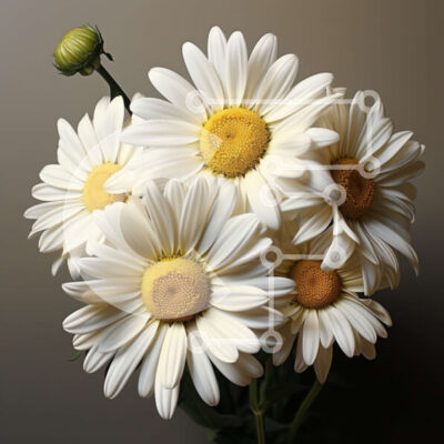 Intra Συλλεκτικό Ξύλινο Παζλ Plywood 4mm - Όμορφο μπουκέτο από λευκές μαργαρίτες με κίτρινα κέντρα σε βάζο Σε Ξύλινο Κουτί - Διαστάσεις: 10x10 cm – 25 κομμάτια - Image 1