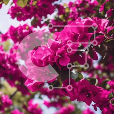 Intra Συλλεκτικό Ξύλινο Παζλ Plywood  4mm - Ανθισμένο δέντρο με ροζ λουλούδια και πράσινα φύλλα Σε Ξύλινο Κουτί - Διαστάσεις: 10x10 cm – 25 κομμάτια - Image 1