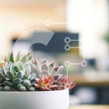 Intra Συλλεκτικό Ξύλινο Παζλ Plywood  4mm - Παχύφυτα σε περιβάλλον γραφείου Σε Ξύλινο Κουτί - Διαστάσεις Puzzle: 10x10 cm – 25 κομμάτια - Image 1