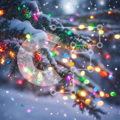 Intra Συλλεκτικό Ξύλινο Παζλ Plywood  4mm - Χιονισμένο κλαδί δέντρου με χριστουγεννιάτικα φώτα Σε Ξύλινο Κουτί - Διαστάσεις Puzzle: 10x10 cm – 25 κομμάτια - Image 1