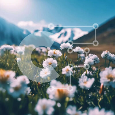 Intra Συλλεκτικό Ξύλινο Παζλ Plywood  4mm - Αλπικό λιβάδι με λευκές μαργαρίτες και χιονισμένα βουνά Σε Ξύλινο Κουτί - Διαστάσεις: 10x10 cm – 25 κομμάτια - Image 1