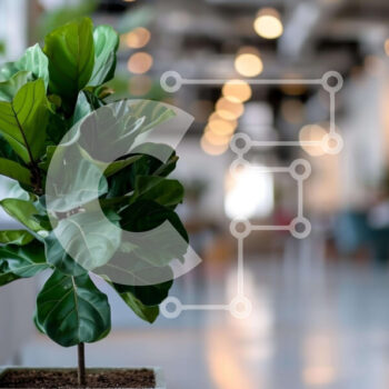 Intra Συλλεκτικό Ξύλινο Παζλ Plywood  4mm - Μικρό φυτό σε γλάστρα σε έναν καλά φωτισμένο χώρο γραφείου Σε Ξύλινο Κουτί - Διαστάσεις Puzzle: 10x10 cm – 25 κομμάτια - Image 1