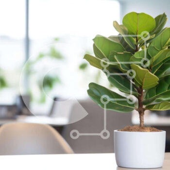 Intra Συλλεκτικό Ξύλινο Παζλ Plywood  4mm - Μικρό φυτό σε γλάστρα στο γραφείο Σε Ξύλινο Κουτί - Διαστάσεις Puzzle: 10x10 cm – 25 κομμάτια - Image 1