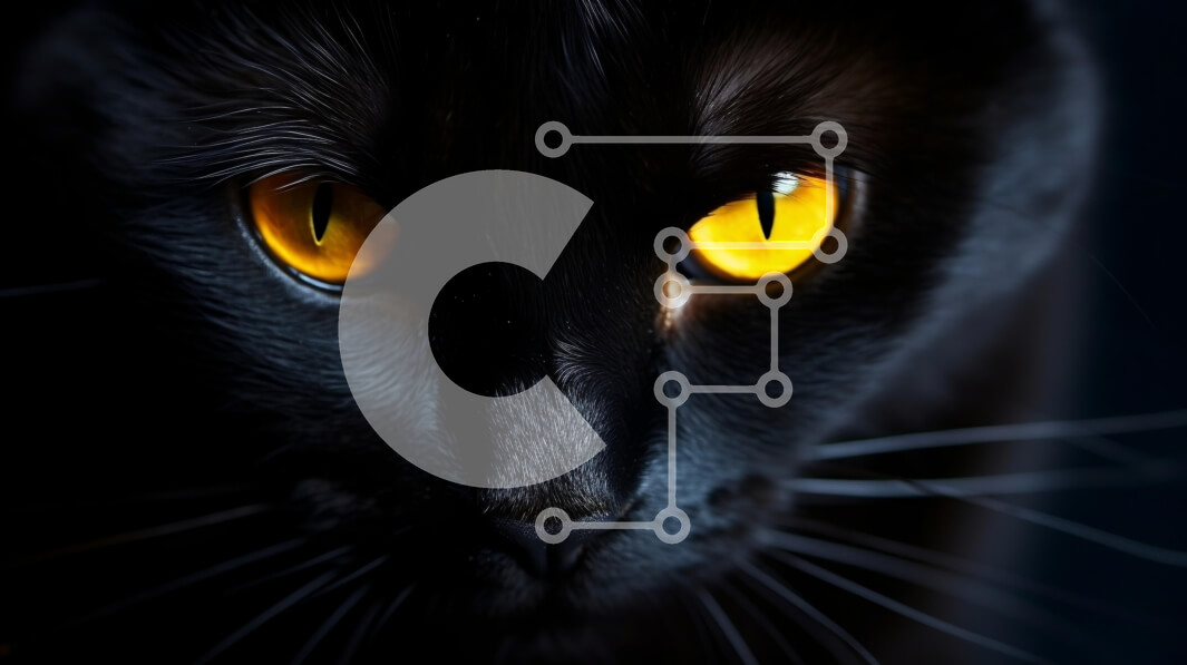 Intra Συλλεκτικό Ξύλινο Παζλ Plywood  4mm - Κοντινό πλάνο μιας περίεργης μαύρης γάτας με φωτεινά κίτρινα μάτια Σε Ξύλινο Κουτί - Διαστάσεις: 10x10 cm – 25 κομμάτια