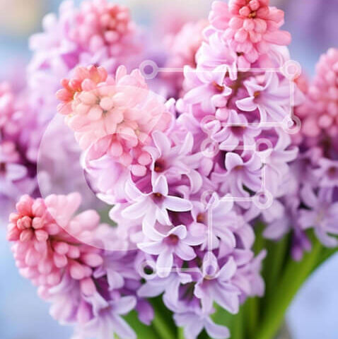 Intra Συλλεκτικό Ξύλινο Παζλ Plywood  4mm - Ζωντανά μωβ λουλούδια υάκινθου σε ένα όμορφο βάζο Σε Ξύλινο Κουτί - Διαστάσεις: 10x10 cm – 25 κομμάτια - Image 1