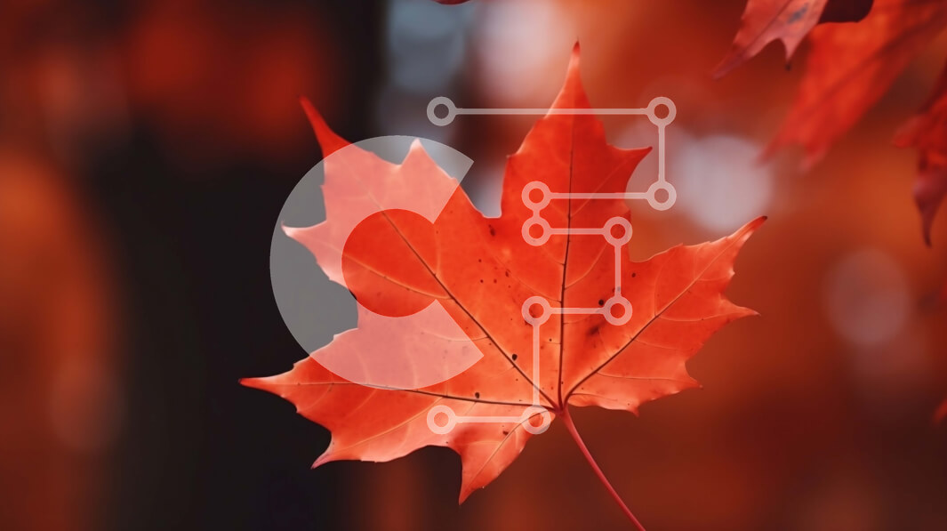 Intra Συλλεκτικό Ξύλινο Παζλ Plywood  4mm - Κόκκινο φύλλο σφενδάμου σε ένα δέντρο Σε Ξύλινο Κουτί - Διαστάσεις: 10x10 cm – 25 κομμάτια