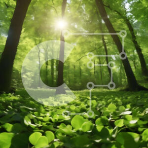 Intra Συλλεκτικό Ξύλινο Παζλ Plywood  4mm - Ειδυλλιακό καταπράσινο δάσος με το φως του ήλιου να φιλτράρει τα δέντρα Σε Ξύλινο Κουτί - Διαστάσεις: 10x10 cm – 25 κομμάτια