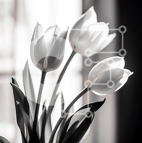Intra Συλλεκτικό Ξύλινο Παζλ Plywood  4mm - Τρεις λευκές τουλίπες σε ασπρόμαυρο βάζο από ανοιχτό παράθυρο Σε Ξύλινο Κουτί - Διαστάσεις: 10x10 cm – 25 κομμάτια - Image 1