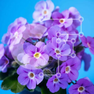 Intra Συλλεκτικό Ξύλινο Παζλ Plywood  4mm - Μωβ λουλούδια σε μαύρο βάζο σε μπλε φόντο Σε Ξύλινο Κουτί - Διαστάσεις: 10x10 cm – 25 κομμάτια