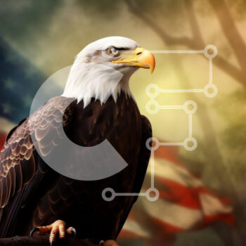 Intra Συλλεκτικό Ξύλινο Παζλ Plywood  4mm - Αετός σκαρφαλωμένος σε ένα κλαδί δέντρου με αμερικανική σημαία Σε Ξύλινο Κουτί - Διαστάσεις: 10x10 cm – 25 κομμάτια - Image 1