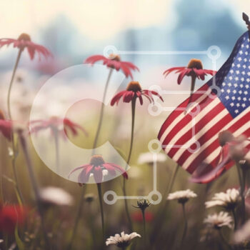 Intra Συλλεκτικό Ξύλινο Παζλ Plywood  4mm - Αμερικανική σημαία στο πεδίο των λουλουδιών και των μαργαριτών Σε Ξύλινο Κουτί - Διαστάσεις: 10x10 cm – 25 κομμάτια - Image 1