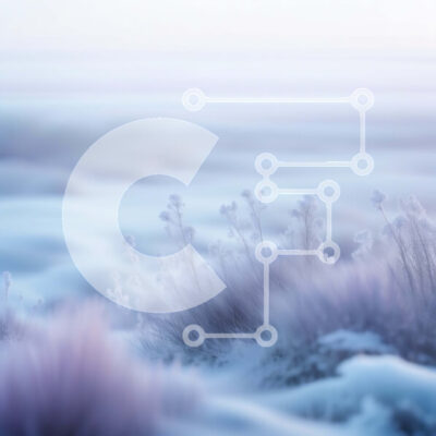 Intra Συλλεκτικό Ξύλινο Παζλ Plywood  4mm - Όμορφη εικόνα μιας Χειμερινής Χώρας Θαυμάτων Σε Ξύλινο Κουτί - Διαστάσεις: 10x10 cm – 25 κομμάτια - Image 1