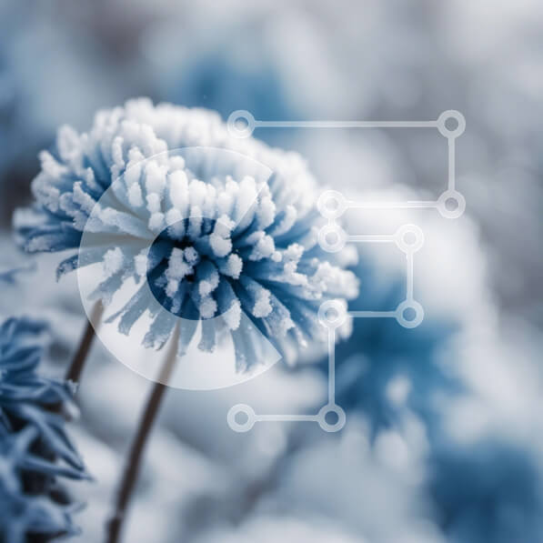 2imHE7wckIlJolcJPMuXddy0rxa-desktop