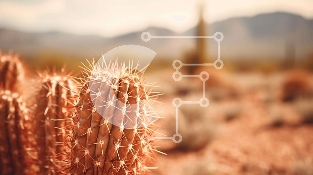 Intra Συλλεκτικό Ξύλινο Παζλ Plywood  4mm - Κοντινό πλάνο φυτών κάκτων στην έρημο με βουνά στο φόντο Σε Ξύλινο Κουτί - Διαστάσεις: 10x10 cm – 25 κομμάτια