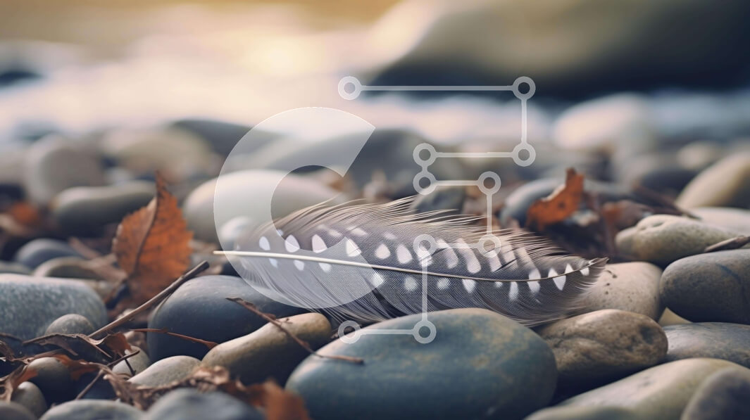 Intra Συλλεκτικό Ξύλινο Παζλ Plywood  4mm - Λευκό φτερό σε βράχους και βότσαλα Σε Ξύλινο Κουτί - Διαστάσεις: 10x10 cm – 25 κομμάτια