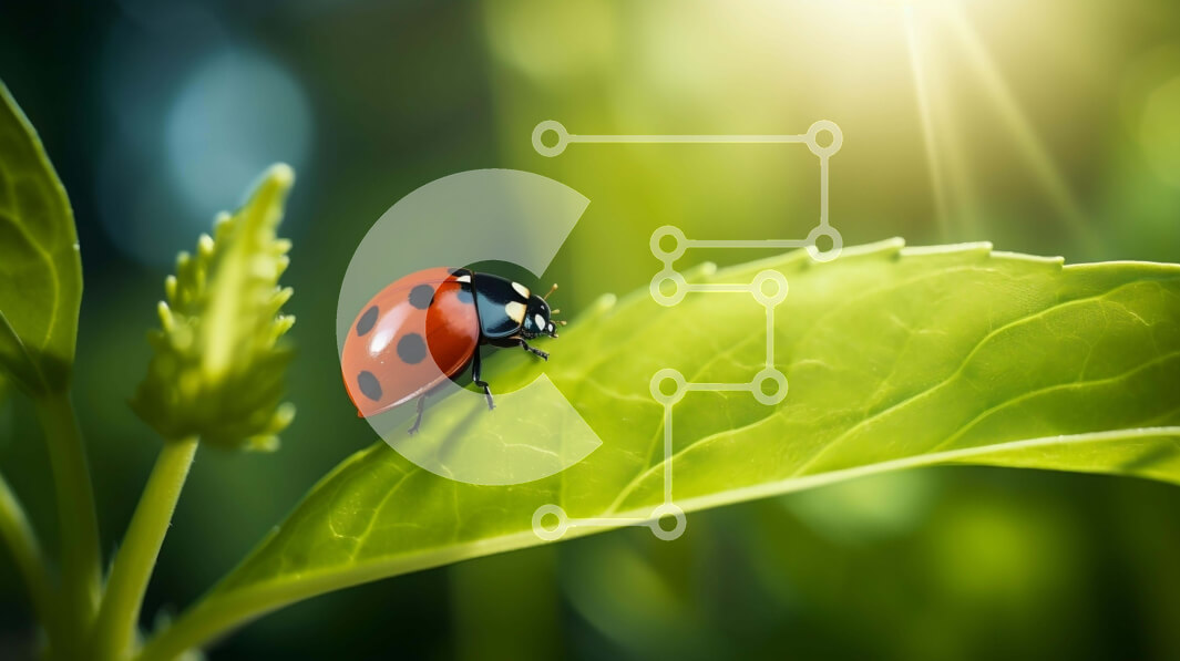 Intra Συλλεκτικό Ξύλινο Παζλ Plywood  4mm - Πασχαλίτσα στο πράσινο φύλλο με το φως του ήλιου Σε Ξύλινο Κουτί - Διαστάσεις: 10x10 cm – 25 κομμάτια