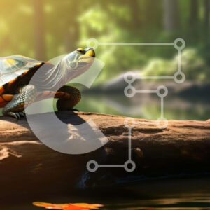 Intra Συλλεκτικό Ξύλινο Παζλ Plywood  4mm - Χελώνα που κάθεται σε έναν κορμό δέντρου στο δάσος Σε Ξύλινο Κουτί - Διαστάσεις: 10x10 cm – 25 κομμάτια