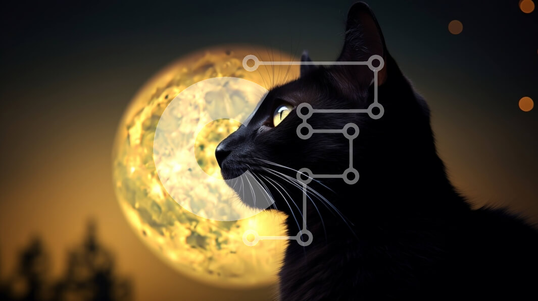 Intra Συλλεκτικό Ξύλινο Παζλ Plywood  4mm - Μυστηριώδης Νυχτερινή Σκηνή: Μαύρη Γάτα και Πανσέληνος Σε Ξύλινο Κουτί - Διαστάσεις: 10x10 cm – 25 κομμάτια