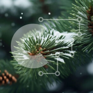 Intra Συλλεκτικό Ξύλινο Παζλ Plywood  4mm - Χειμερινός κλάδος πεύκου με χιόνι που πέφτει Σε Ξύλινο Κουτί - Διαστάσεις: 10x10 cm – 25 κομμάτια