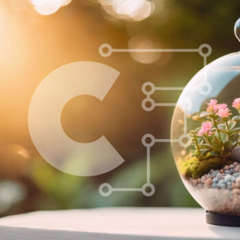 Intra Συλλεκτικό Ξύλινο Παζλ Plywood  4mm - Γυάλινο Terrarium με παχύφυτα και λουλούδια σε τραπέζι εξωτερικού χώρου Σε Ξύλινο Κουτί - Διαστάσεις Puzzle: 10x10 cm – 25 κομμάτια - Image 1