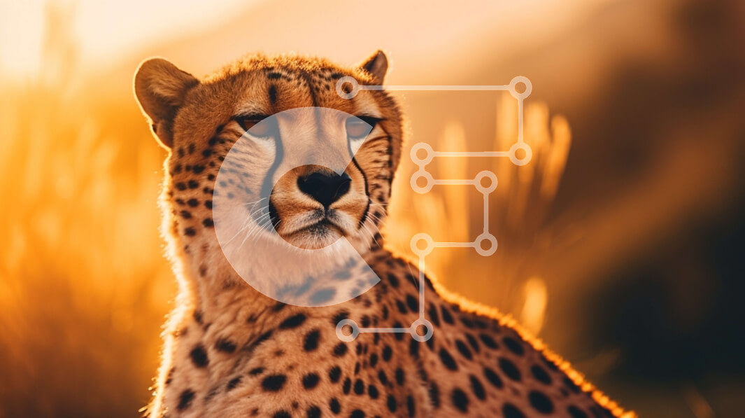 Intra Συλλεκτικό Ξύλινο Παζλ Plywood  4mm - Τσίτα στο γρασίδι που κοιτάζει την κάμερα Σε Ξύλινο Κουτί - Διαστάσεις: 10x10 cm – 25 κομμάτια