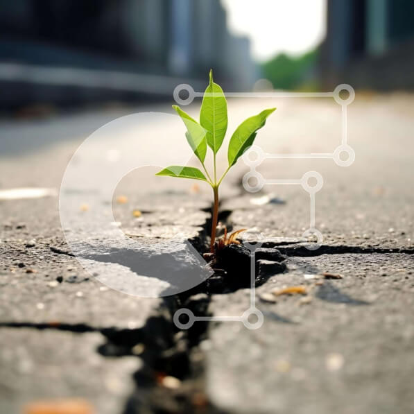 2imHWlAi6Ck6owcWvl9qOuheXBY-desktop