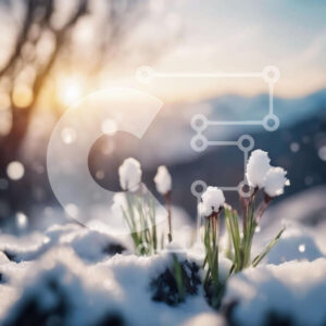 Intra Συλλεκτικό Ξύλινο Παζλ Plywood  4mm - Χιονισμένο τοπίο με λουλούδια Σε Ξύλινο Κουτί - Διαστάσεις: 10x10 cm – 25 κομμάτια