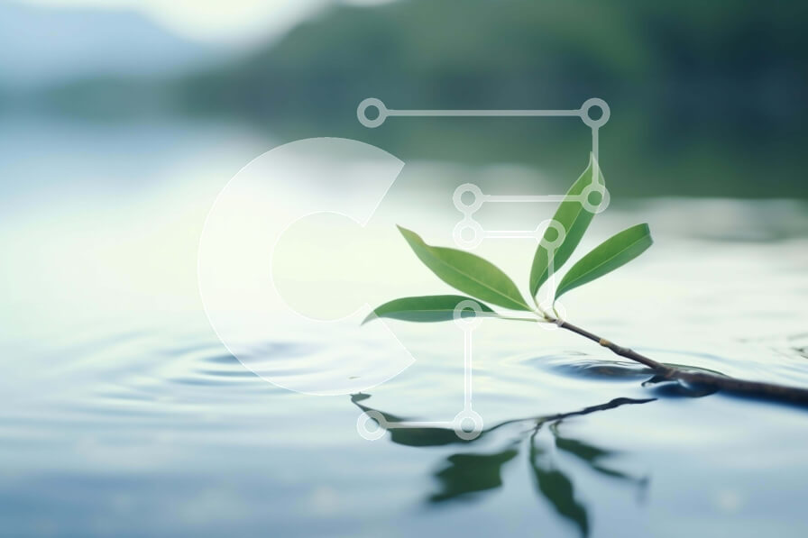 Intra Συλλεκτικό Ξύλινο Παζλ Plywood  4mm - Μικρό πράσινο φυτό που επιπλέει στους κυματισμούς σε μια λίμνη Σε Ξύλινο Κουτί - Διαστάσεις: 10x10 cm – 25 κομμάτια