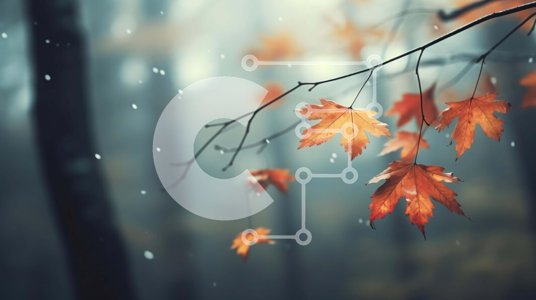 Intra Συλλεκτικό Ξύλινο Παζλ Plywood  4mm - Φθινοπωρινό κλαδί δέντρου με πορτοκαλί φύλλα στη βροχή Σε Ξύλινο Κουτί - Διαστάσεις: 10x10 cm – 25 κομμάτια