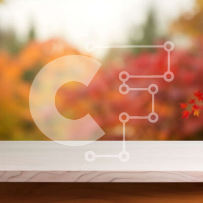 Intra Συλλεκτικό Ξύλινο Παζλ Plywood  4mm - Φθινοπωρινά φύλλα σφενδάμου σε ξύλινο τραπέζι Σε Ξύλινο Κουτί - Διαστάσεις: 10x10 cm – 25 κομμάτια - Image 1