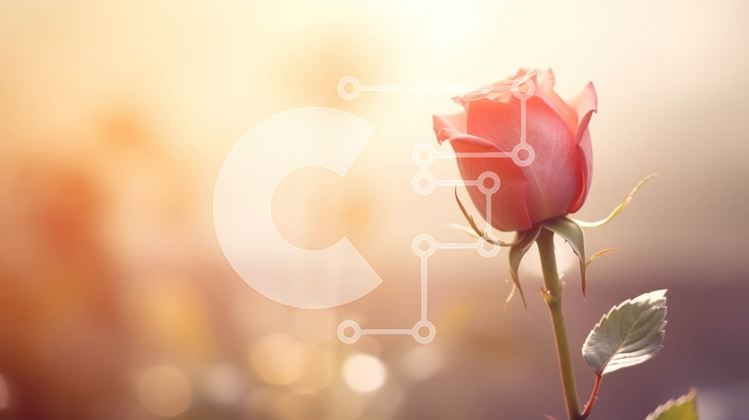 Intra Συλλεκτικό Ξύλινο Παζλ Plywood  4mm - Μονό κόκκινο τριαντάφυλλο που συμβολίζει την αγάπη και τον ρομαντισμό Σε Ξύλινο Κουτί - Διαστάσεις: 10x10 cm – 25 κομμάτια