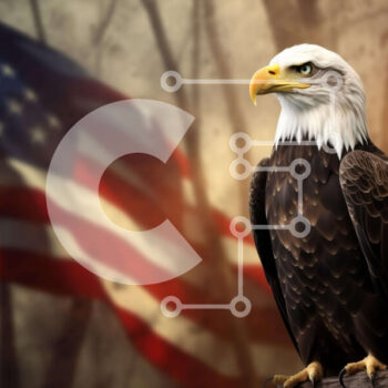 Intra Συλλεκτικό Ξύλινο Παζλ Plywood  4mm - Αμερικανικός αετός με την αμερικανική σημαία στο φόντο Σε Ξύλινο Κουτί - Διαστάσεις: 10x10 cm – 25 κομμάτια - Image 1