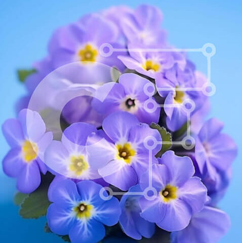 Intra Συλλεκτικό Ξύλινο Παζλ Plywood 4mm - Μπουκέτο με μωβ λουλούδια με κίτρινα κέντρα Σε Ξύλινο Κουτί - Διαστάσεις: 10x10 cm – 25 κομμάτια - Image 1