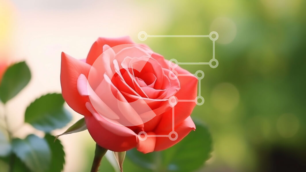 Intra Συλλεκτικό Ξύλινο Παζλ Plywood  4mm - Μονό κόκκινο τριαντάφυλλο με πράσινα φύλλα Σε Ξύλινο Κουτί - Διαστάσεις: 10x10 cm – 25 κομμάτια