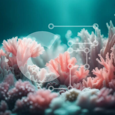 Intra Συλλεκτικό Ξύλινο Παζλ Plywood  4mm - Εκπληκτική εικόνα ενός ζωντανού κοραλλιογενούς υφάλου με ποικίλη θαλάσσια ζωή Σε Ξύλινο Κουτί - Διαστάσεις: 10x10 cm – 25 κομμάτια - Image 1