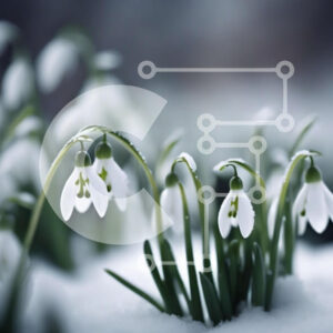 Intra Συλλεκτικό Ξύλινο Παζλ Plywood  4mm - Snowdrops in the Snow: A Delicate Winter Beauty Σε Ξύλινο Κουτί - Διαστάσεις: 10x10 cm – 25 κομμάτια
