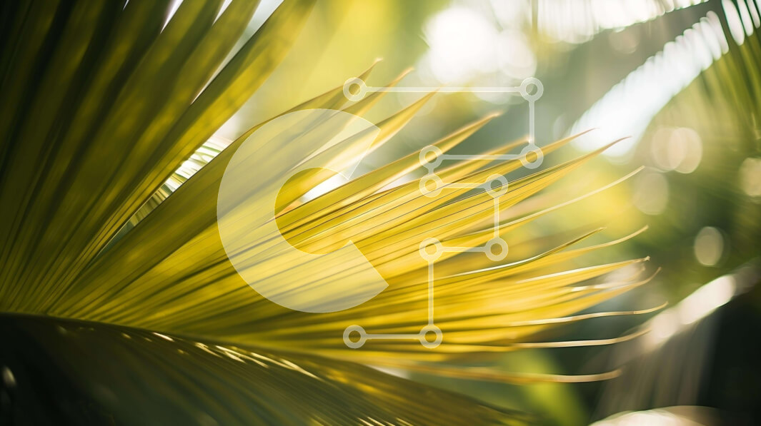 Intra Συλλεκτικό Ξύλινο Παζλ Plywood  4mm - Κοντινό πλάνο του φύλλου φοίνικα με το φως του ήλιου και τις σκιές Σε Ξύλινο Κουτί - Διαστάσεις: 10x10 cm – 25 κομμάτια