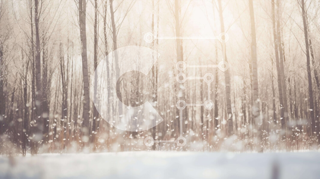 Intra Συλλεκτικό Ξύλινο Παζλ Plywood  4mm - Χιονισμένο δάσος με το φως του ήλιου να ρέει μέσα από δέντρα Σε Ξύλινο Κουτί - Διαστάσεις: 10x10 cm – 25 κομμάτια - Image 1