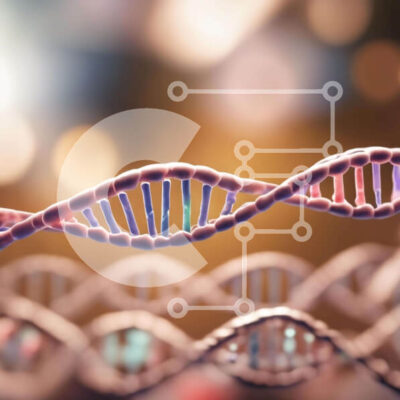 Intra Συλλεκτικό Ξύλινο Παζλ Plywood  4mm - Σκέλη DNA για Γενετική Έρευνα και Εκπαίδευση Σε Ξύλινο Κουτί - Διαστάσεις Puzzle: 10x10 cm – 25 κομμάτια - Image 1