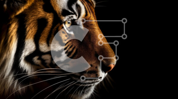 2imJDp5pTwOX6FiZsGDyD1SpVAe-desktop