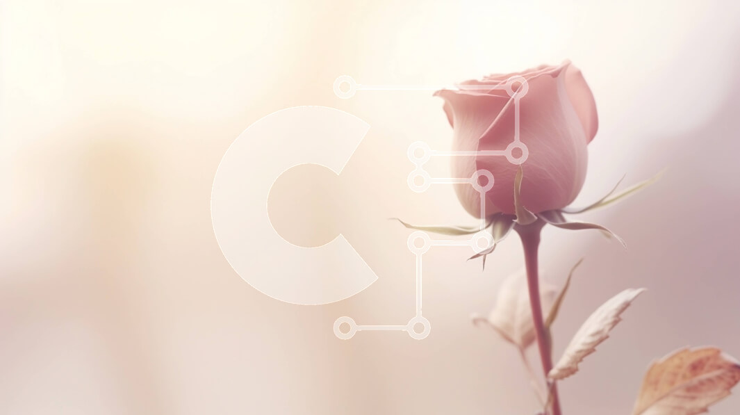 Intra Συλλεκτικό Ξύλινο Παζλ Plywood  4mm - Μονό ροζ τριαντάφυλλο σε πρώτο πλάνο με θολό φόντο Σε Ξύλινο Κουτί - Διαστάσεις: 10x10 cm – 25 κομμάτια