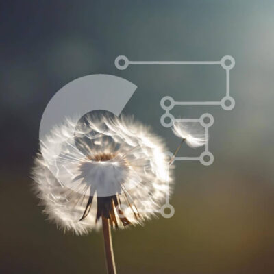 Intra Συλλεκτικό Ξύλινο Παζλ Plywood 4mm - Σπόροι πικραλίδας που φυσούν στον άνεμο Σε Ξύλινο Κουτί - Διαστάσεις: 10x10 cm – 25 κομμάτια - Image 1