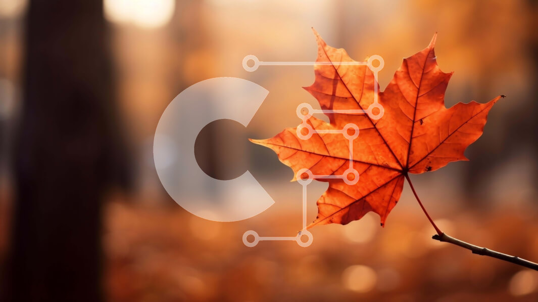 Intra Συλλεκτικό Ξύλινο Παζλ Plywood  4mm - Κόκκινο φύλλο σφενδάμου στο φθινοπωρινό δάσος Σε Ξύλινο Κουτί - Διαστάσεις: 10x10 cm – 25 κομμάτια