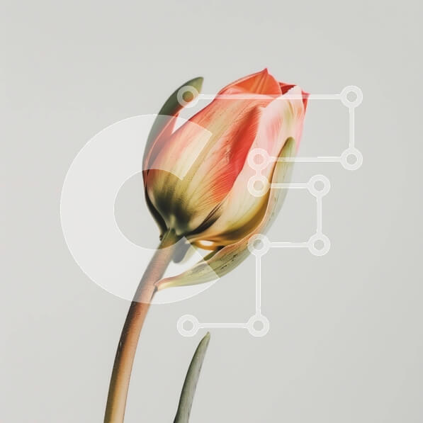 2imLaEIIUW661egZICPUuwhpQd7-desktop