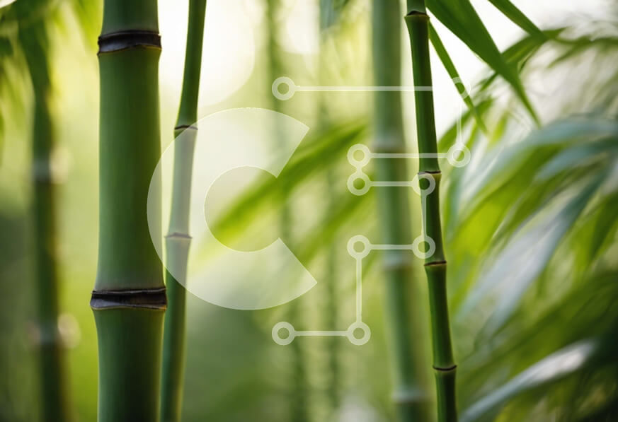 Intra Συλλεκτικό Ξύλινο Παζλ Plywood  4mm - Κοντινό πλάνο με κοτσάνια μπαμπού σε ένα δάσος Σε Ξύλινο Κουτί - Διαστάσεις: 10x10 cm – 25 κομμάτια