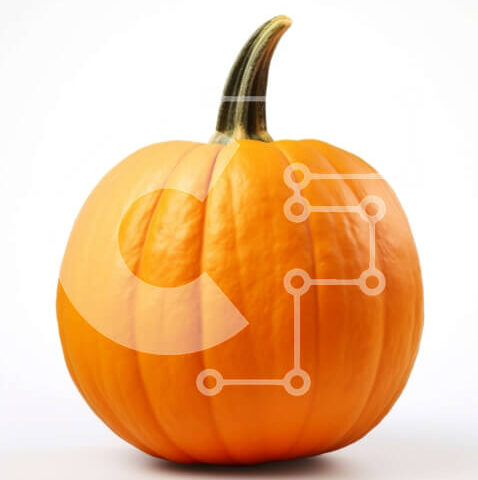 Intra Συλλεκτικό Ξύλινο Παζλ Plywood  4mm - Στοκ Φωτογραφία Σε Ξύλινο Κουτί - Διαστάσεις Puzzle: 10x10 cm – 25 κομμάτια - Image 1