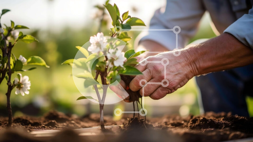 Intra Συλλεκτικό Ξύλινο Παζλ Plywood  4mm - Άνθρωπος που φυτεύει ένα ανθισμένο φυτό με τα χέρια του Σε Ξύλινο Κουτί - Διαστάσεις: 10x10 cm – 25 κομμάτια