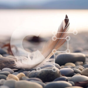 Intra Συλλεκτικό Ξύλινο Παζλ Plywood  4mm - Φτερό σε βράχους και βότσαλα κοντά στο νερό Σε Ξύλινο Κουτί - Διαστάσεις: 10x10 cm – 25 κομμάτια